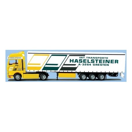 MAN TGA XXL + semi-rqe tautliner Haselsteiner (A)