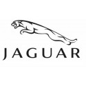 Jaguar -  Lotus